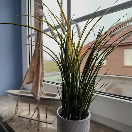 Entennest - Horumersiel *